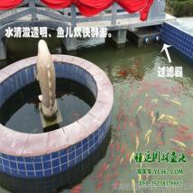 卡利凈魚池過(guò)濾器 K.15000